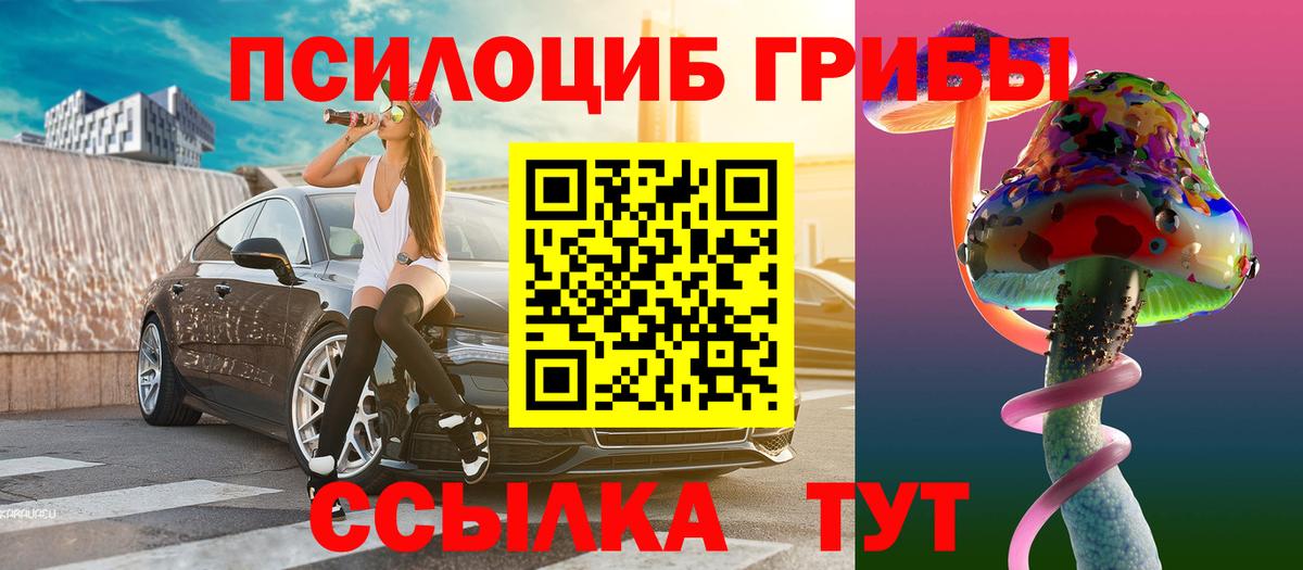 Красноперекопск  продажа наркотиков  Псилоцибиновые грибы MAGIC MUSHROOMS  Вход с VPN  Псилоцибиновые грибы MAGIC MUSHROOMS 